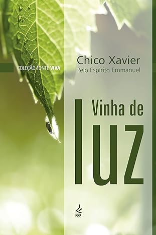 Vinha de Luz: Um Convite ao Trabalho Santificante